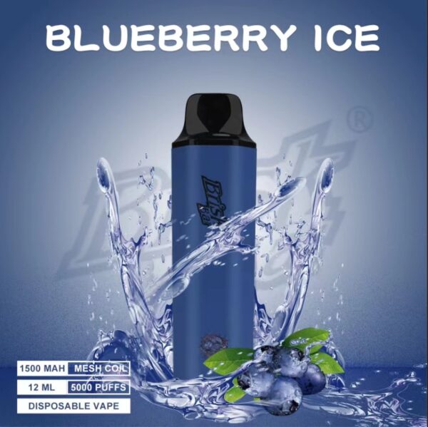 BRISK BAR BLUEBERRY ICE – 5000 PUFFS