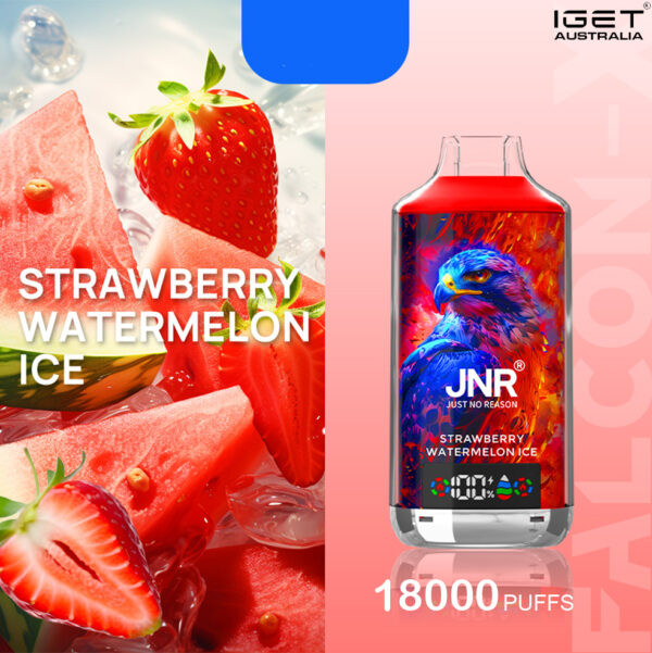 JNR FALCON -X STRAWBERRY WATERMELON ICE – 18000 PUFFS