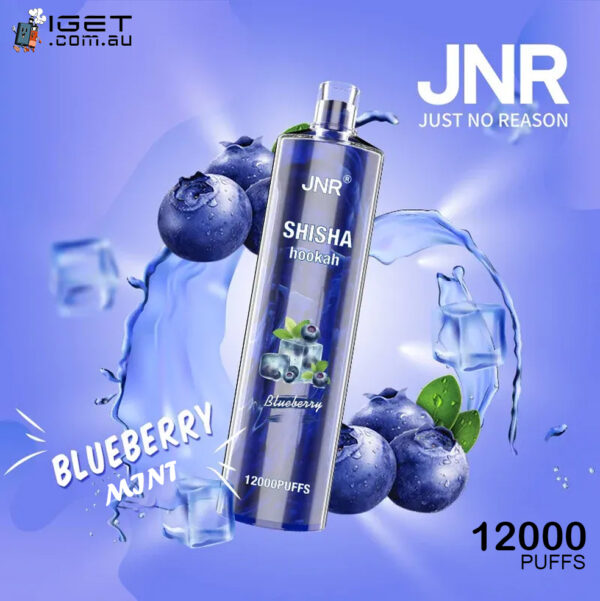 JNR SHISHA HOOKAH – BLUEBERRY MINT – 12000 PUFFS